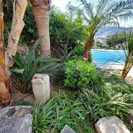Castello * Bodrum